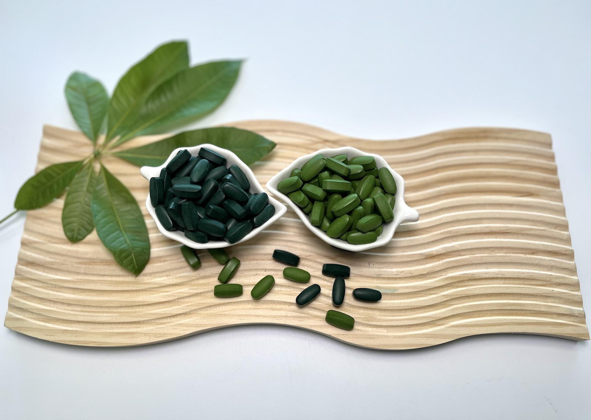 Our Products