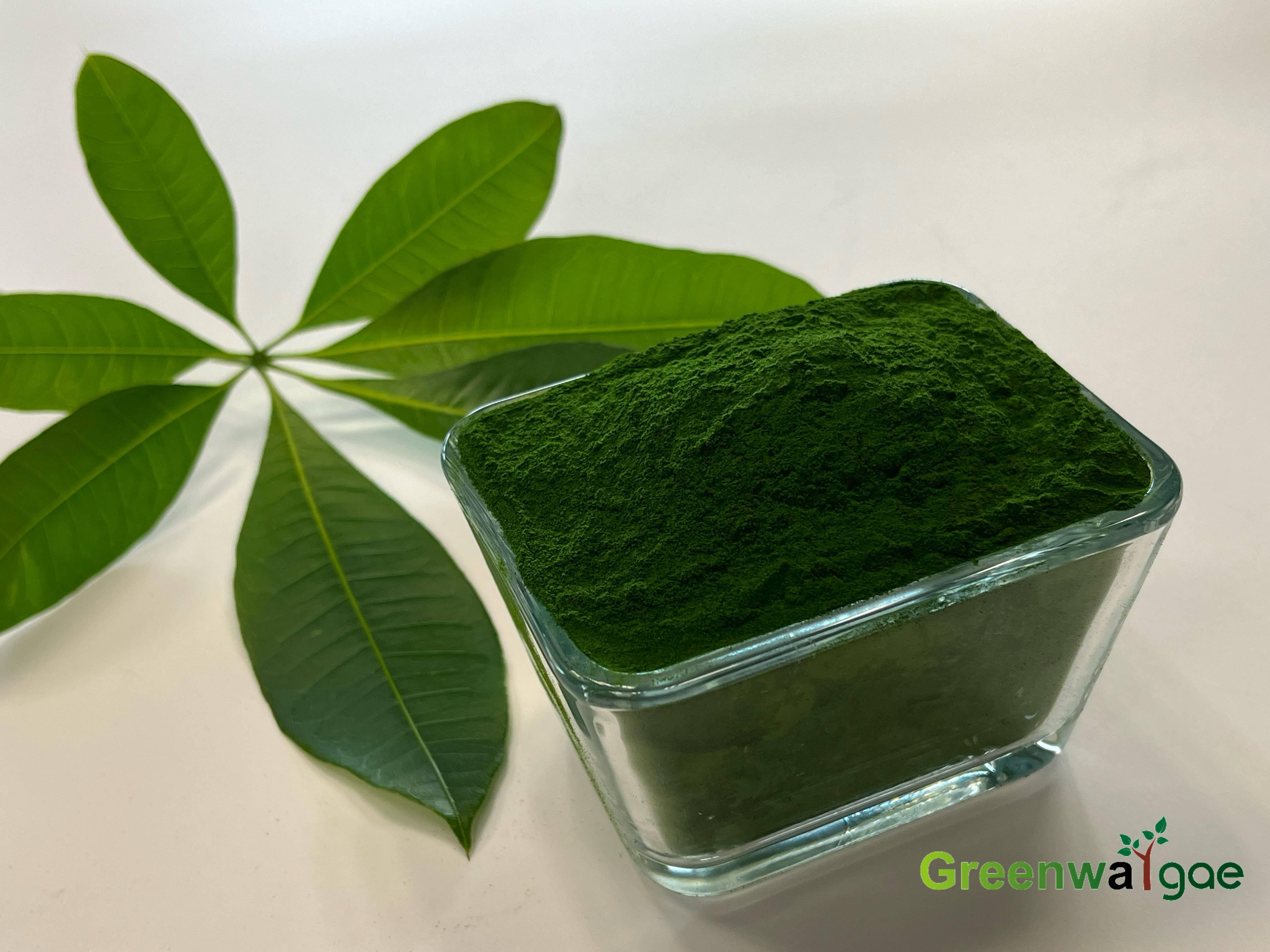 Chlorella Powder