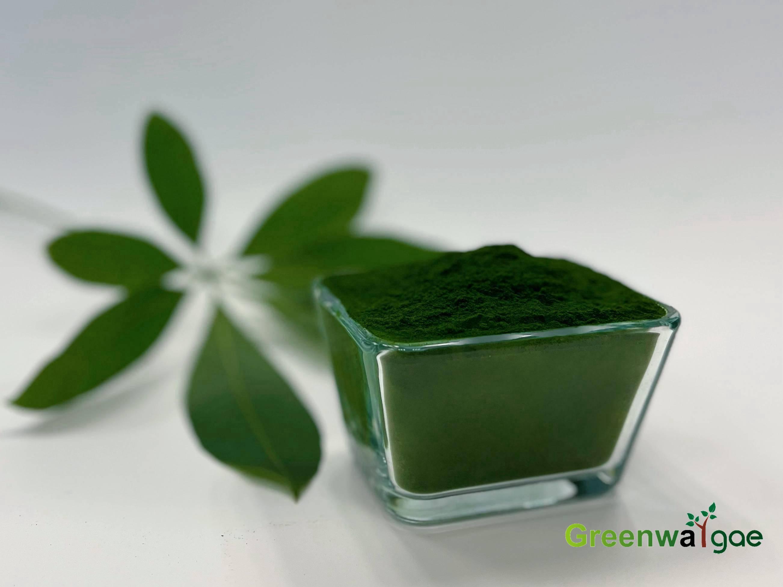 Organic Chlorella Powder