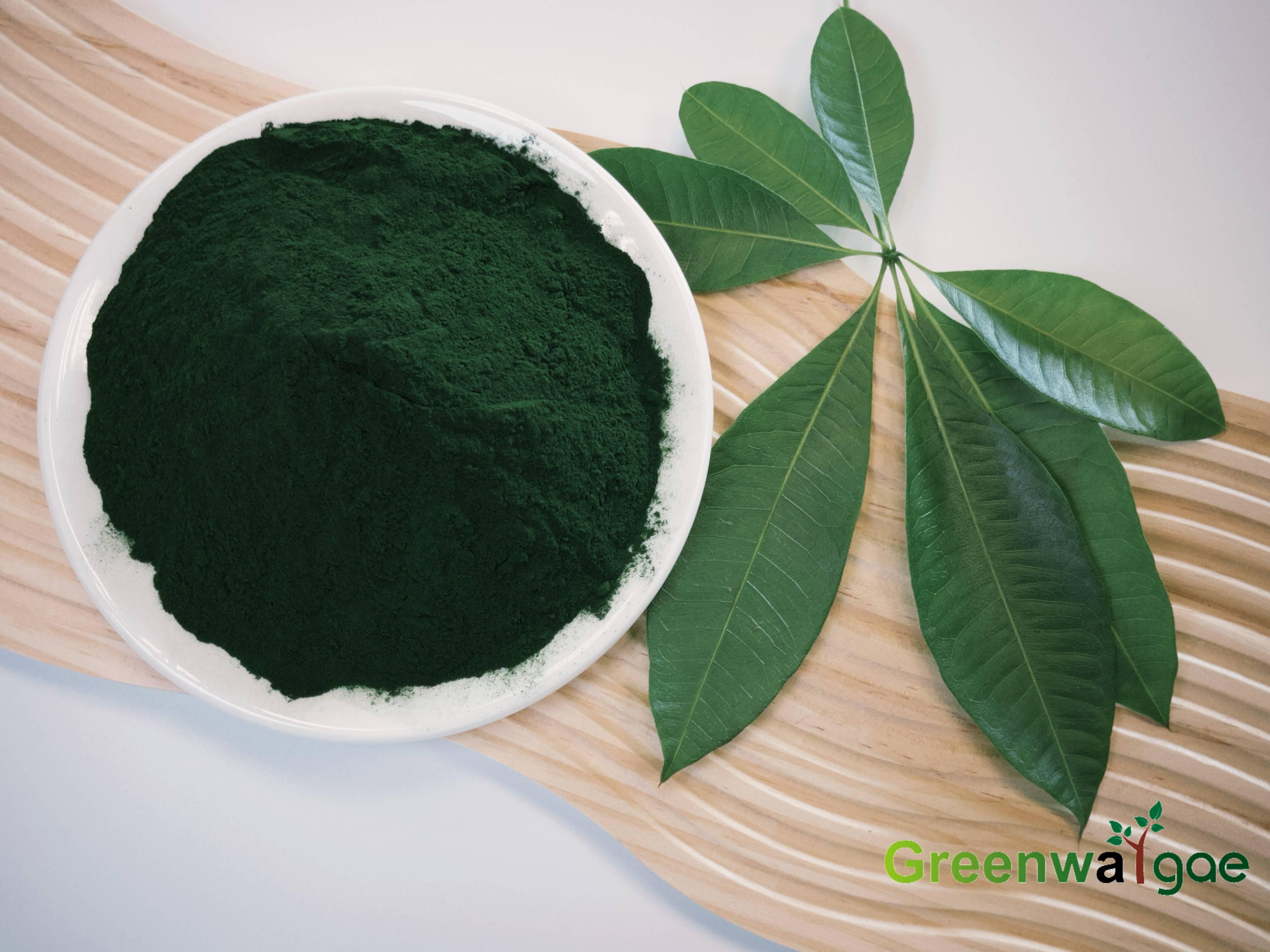 Organic Spirulina Powder