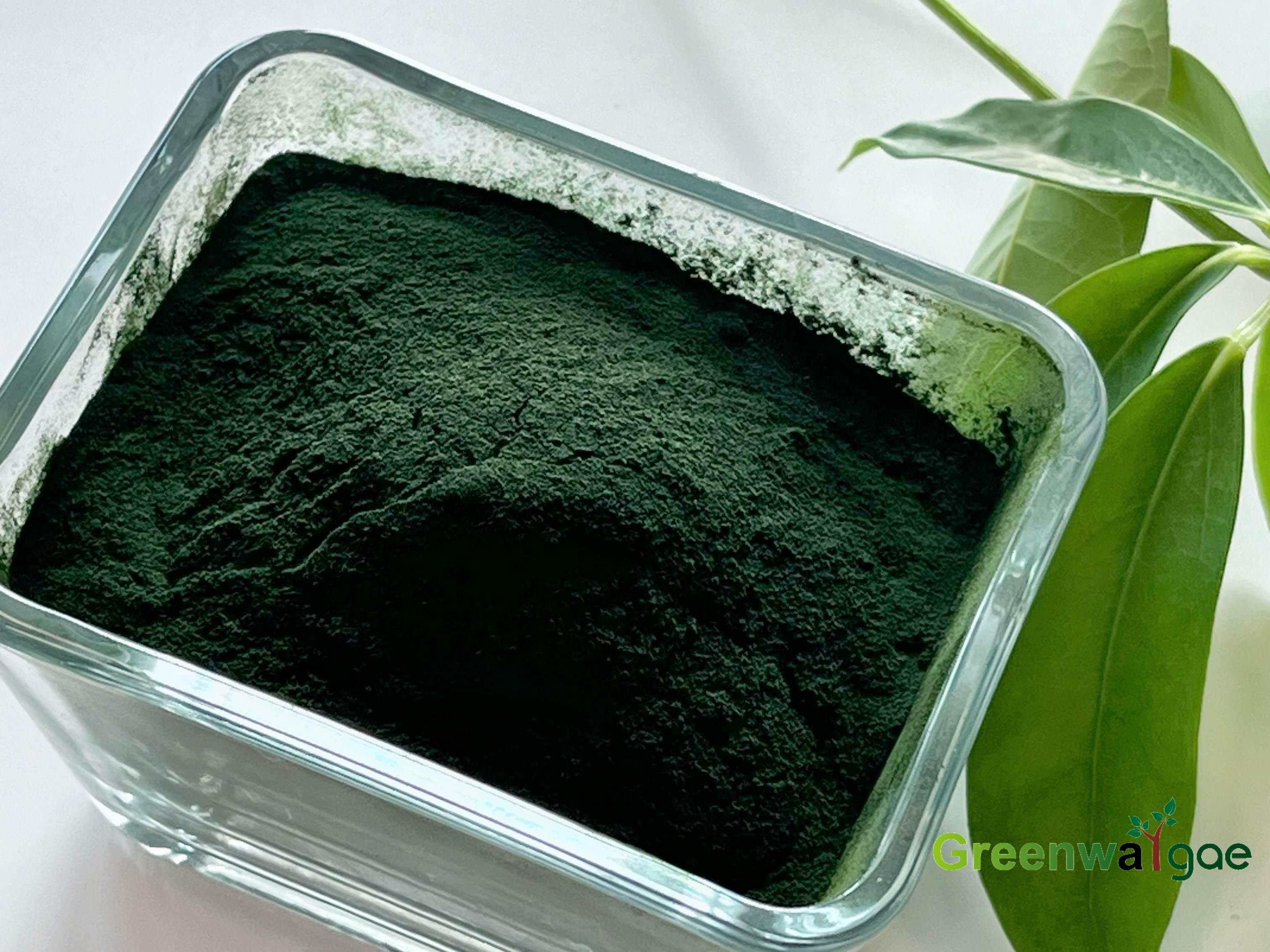 Spirulina Powder